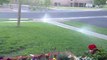 Sprinkler Start Up Gleneagle CO-Repair-Lawn-Aeration-Core -Sprinkler-Repair-Blowout-Winterization-Lawncare-lawn-Lawn Pros-719-963-6267.