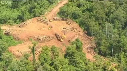 BBC South East Today - 5/4/13