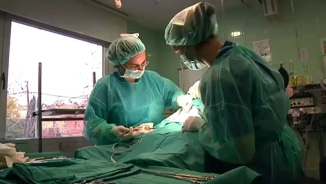 TV3 - Veterinaris - Veterinaris - capítol 96