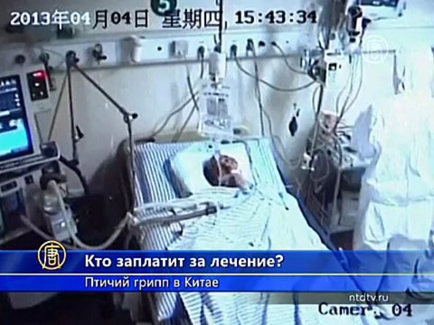 Кто оплатит китайцам лечение от птичьего гриппа?