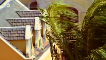 "Offshore-Leaks" - das Ausmaß internationalen Steuerbetrugs | Politik direkt