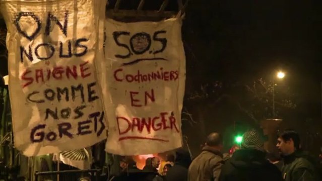 Rennes : manifestation d'éleveurs bretons contre la hausse de leurs charges