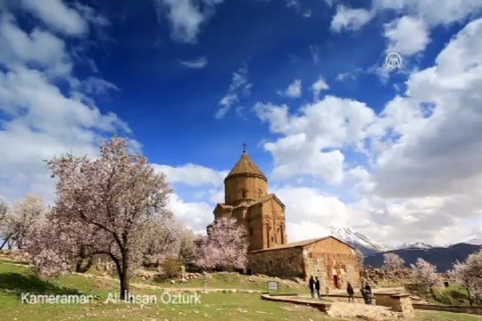 Akdamar Adası çiçek açtı