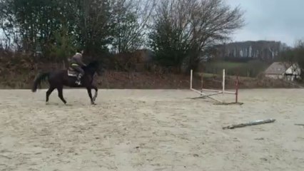 Vire et Volte - fin de seance