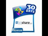 BitShare premium accounts for 30 days april 2013