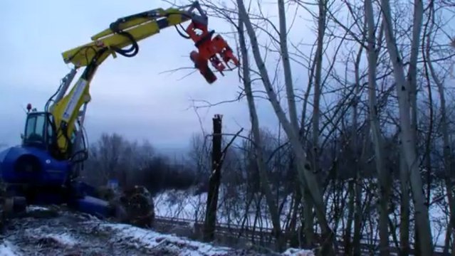 Pelle araignée et pince secateur