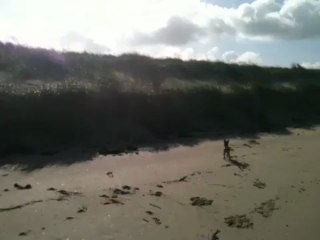 Plage de Plougoulm Bretagne