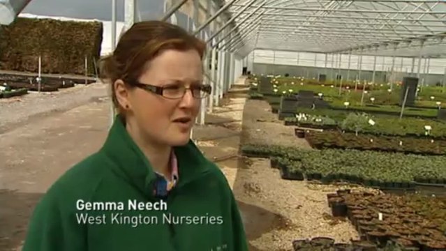 Nurseries forced to dump millions of pounds of plants