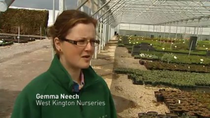 Nurseries forced to dump millions of pounds of plants