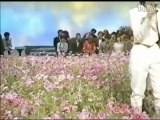 1983 10　松田聖子 - 瞳はダイヤモンド