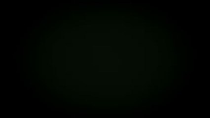 Zlatan Ibrahimovic fait son cinéma