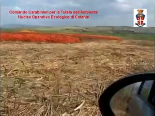 Caltagirone (CT) - Traffico illecito di 'pastazzo', 17 indagati.  Sequestrata la Ortogel (11.04.13)