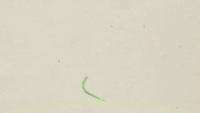 Walt's Lawn Service - (860) 653-9310