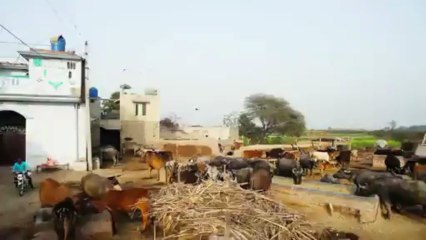 Jinnah Abadi - 110,000 free plots to the deserving people in Punjab