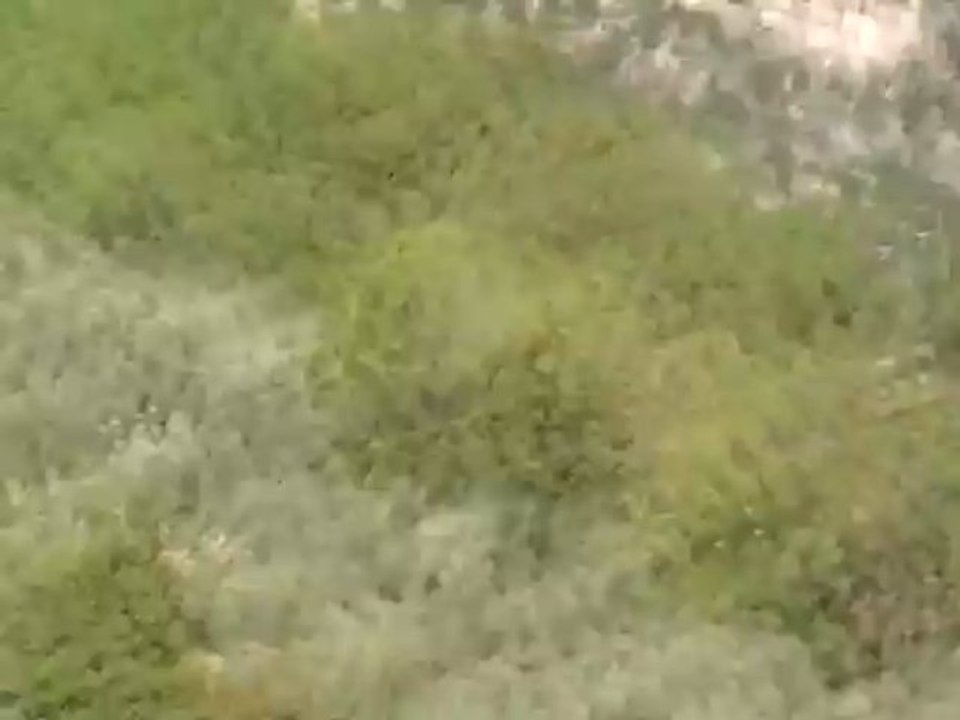 Aprilia shiver Douma