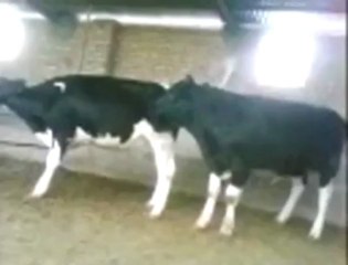 هتعمل ايه لو انت في الموقف دا