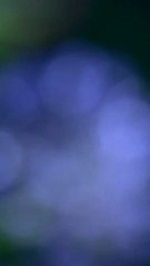 seckinortam, seckinortam.com seckinortam.net, seckin ortam, ByGoLGe