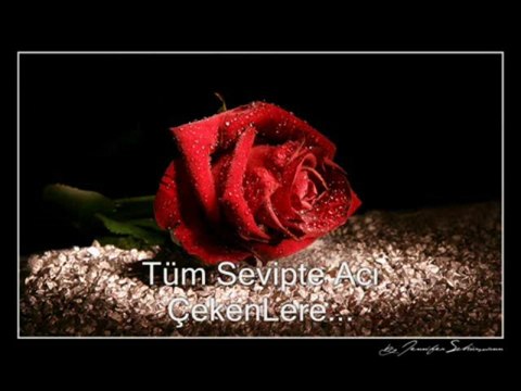 Meral Sezgin - Bir Sarkımız Vardı