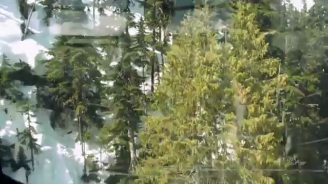 Whistler Village Gondola ride, BC