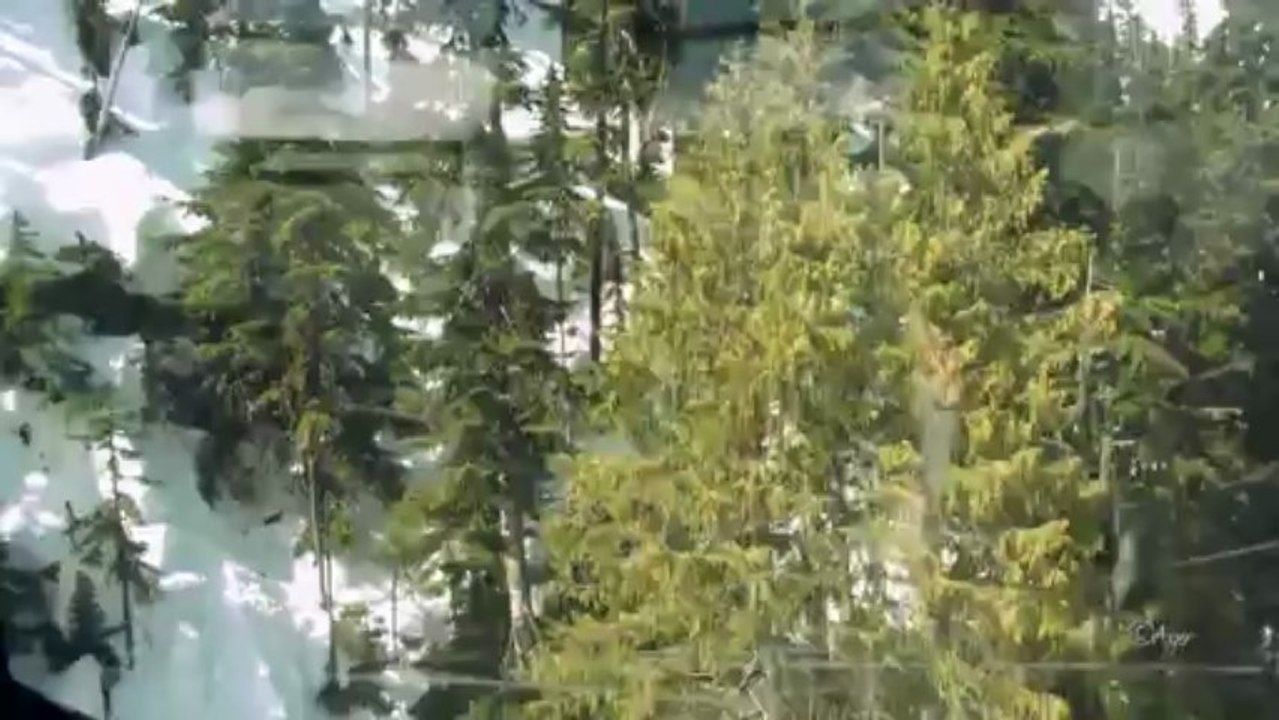 Whistler Village Gondola ride, BC