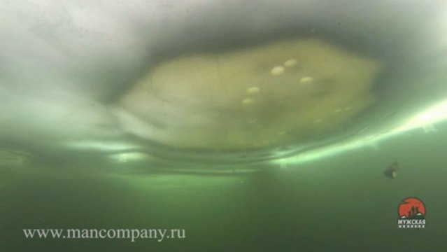 МК : Ловля форели подводные съемки видео Full HD