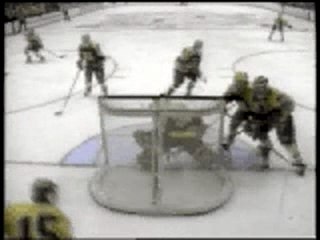 Hockey Goals
