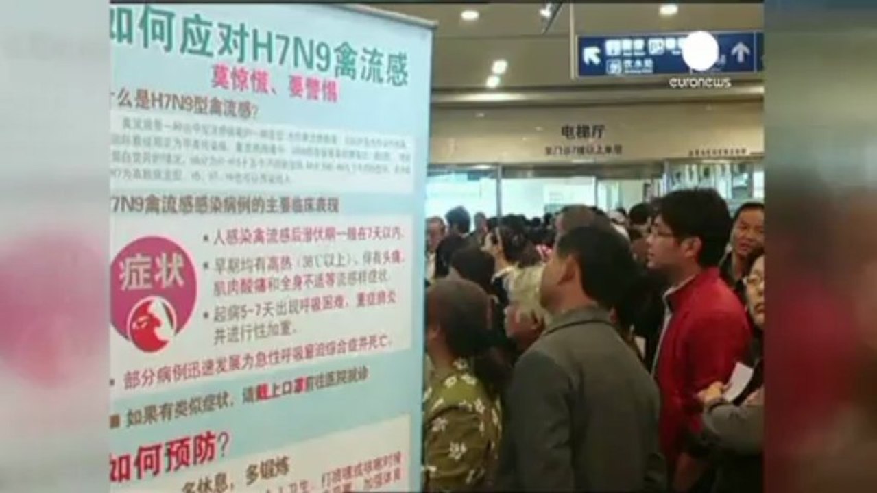 Aviaria in Cina: il nuovo virus colpisce Pechino