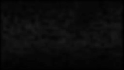 Black Ops 2 - Personalization Packs for PS3 and PC