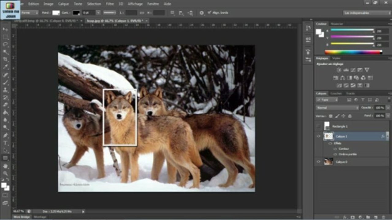 Tutoriel photoshop débutant (attirer l'attention sur une photo)