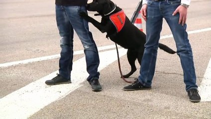 Au coeur d'un contrôle des douanes sur l'A7 au péage de Vienne