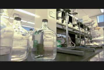 Avon Anew Reversalist - ผลิตภัณฑ์บำรุงหน้า เอนิว รีเวอร์สเซิลลิสท์