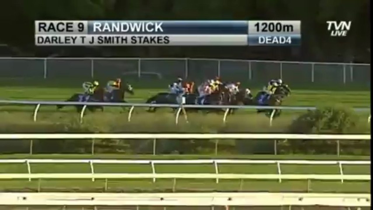 2013 Darley T J Smith -Black Caviar #25