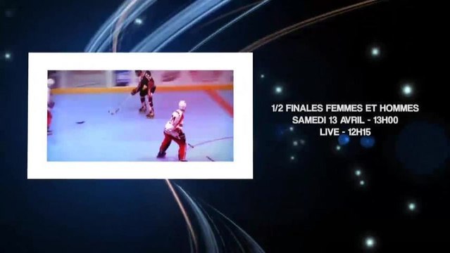 ROLLER HOCKEY - CARPENTIER 2013 - RIS-Orangis