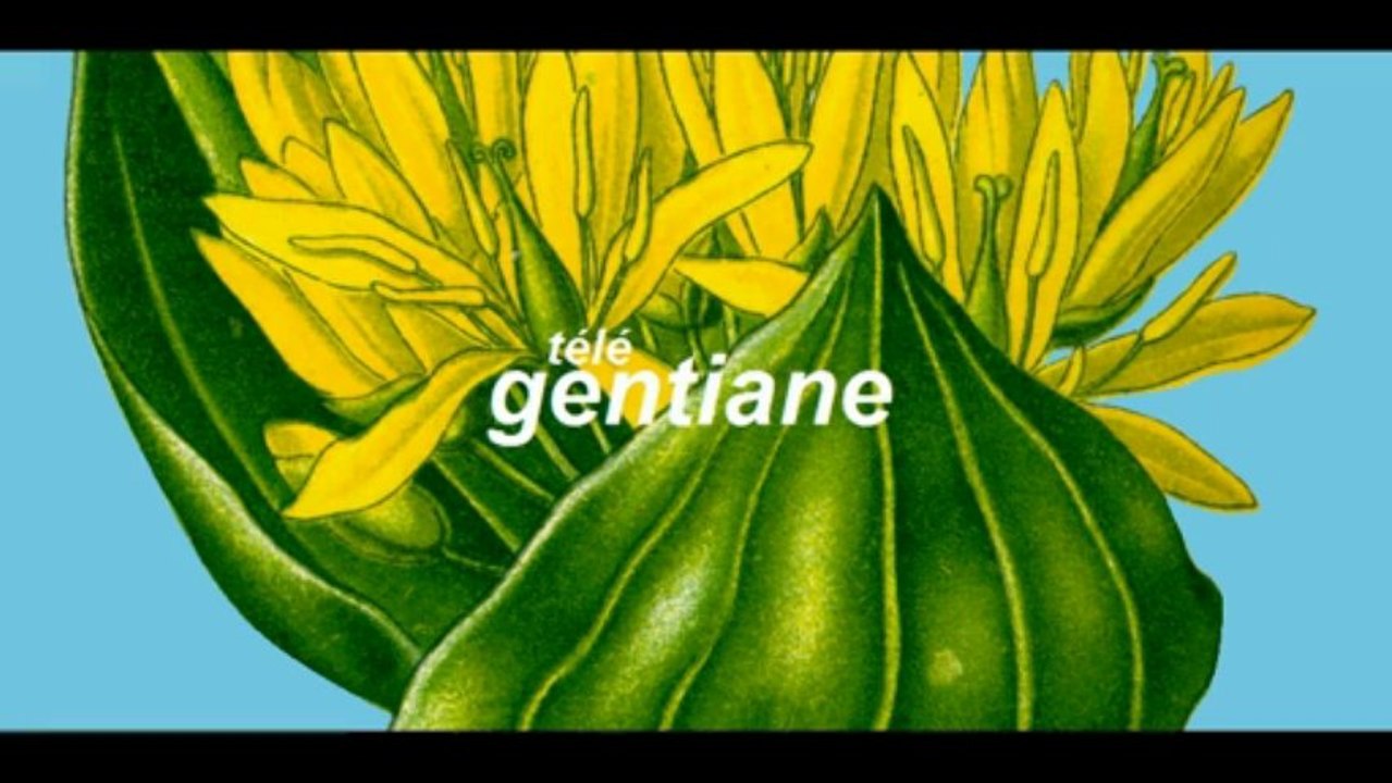 Le chemin des Quiroux