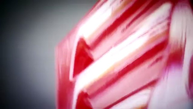 Jules Bianchi and Max Chilton | Chinese GP, pre-quali