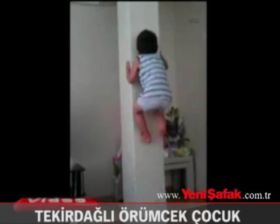 Tekirdağlı örümcek çocuk