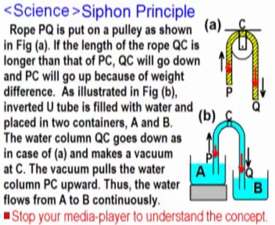 P21Siphon