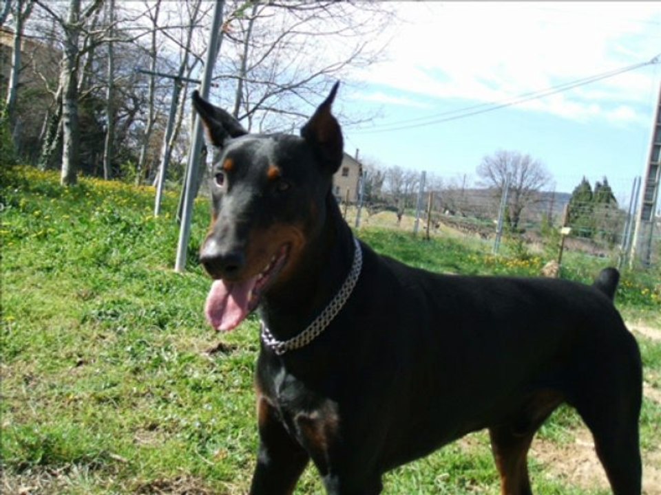 au décés de Ulysse le 13 avril 2013