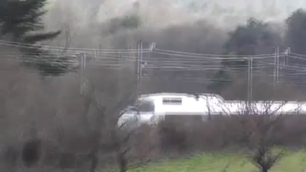 Trains en forêt