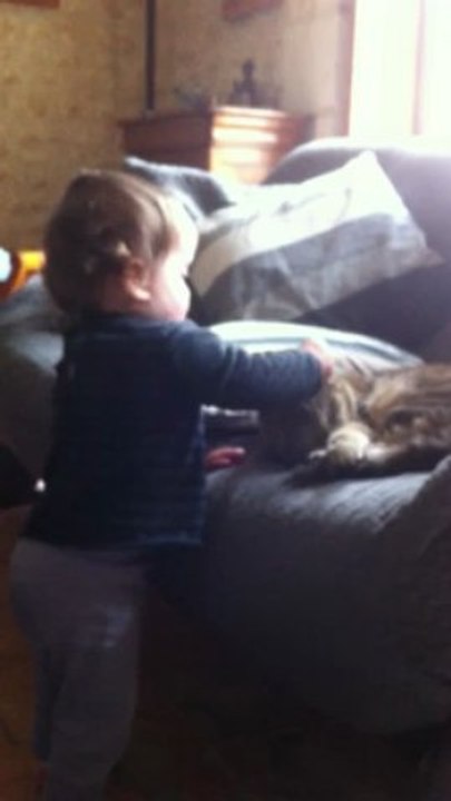 Fibule, gentil chat...