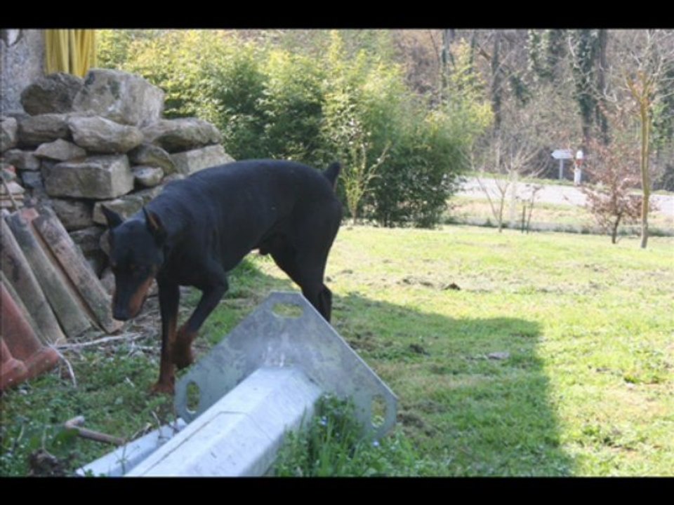 décés de ulysse 13 avril 2013