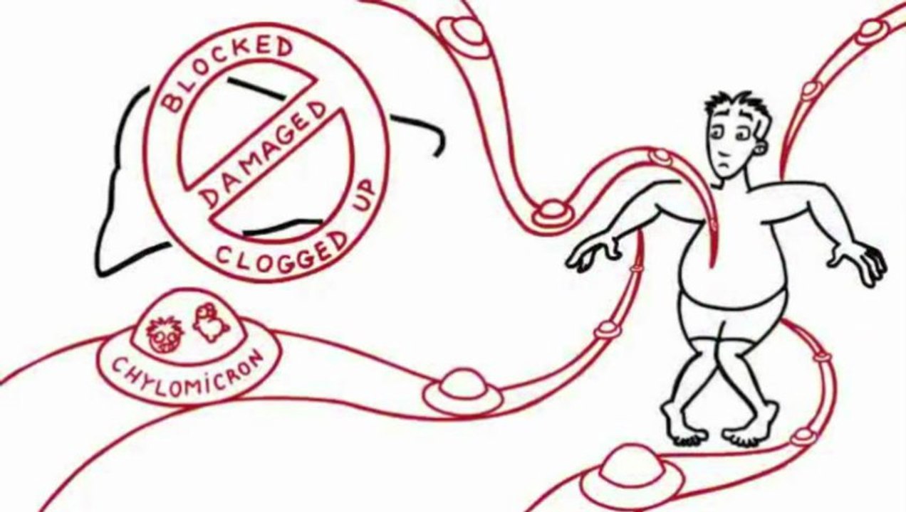 exercise for stomach