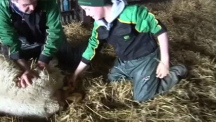 BBC Look North - North East & Cumbria - 9/4/13