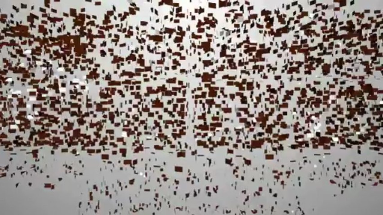 Ein Schaf in den Flitterwochen - Kelly returns