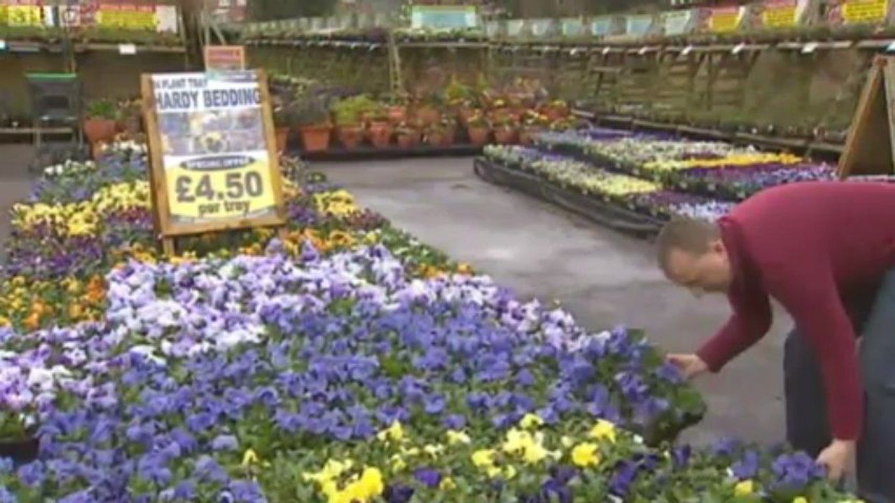 BBC Channel Islands News - 10/4/13