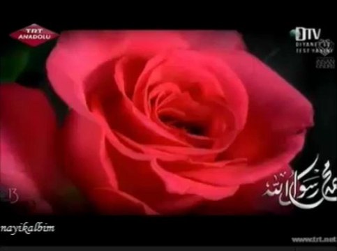 16 O NUR İLE ONURLANDIK KLİP Kutlu Dogum 2013