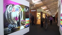 Verona - Vinitaly 2013, lo stand della Campania (13.04.13)