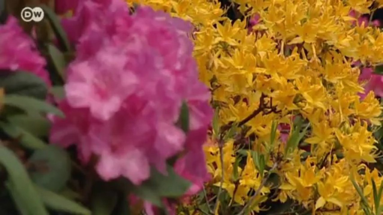 Bodensee - Kulturgeschichte vor Alpenpanorama | Hin