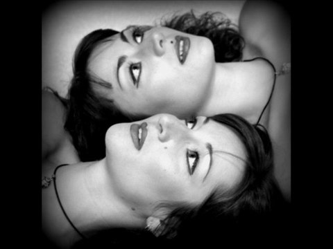 Félines - Nos âmes soeurs