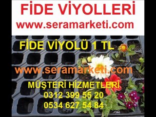 fide viyolü,fide-viyolü,fide_viyolü,fide viyolleri,fide-viyolleri,fide_viyolleri,fide viyolü fiyatı,fide viyolü fiyatları,fide viyolleri fiyatı,fide viyolleri fiyatları,gözlü fide viyolü